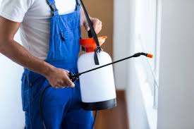 Emergency Pest Control Services in Denair, CA